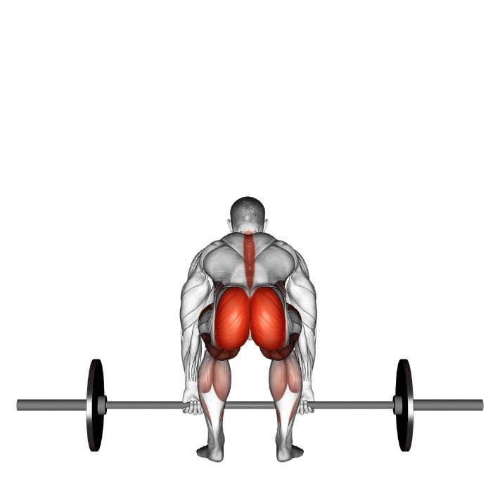 back market trustworthy